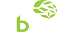 logo UpBrain